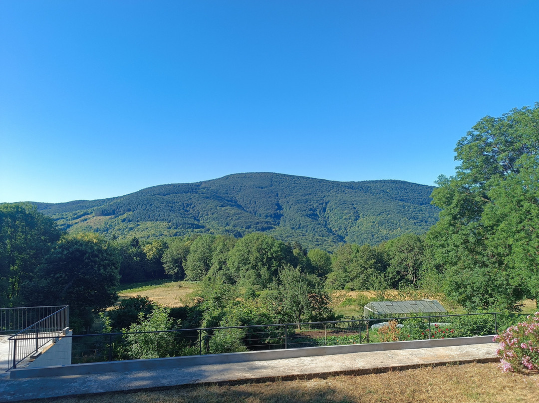 La Bouriotte, Chambre d'hôtes Sycomore,