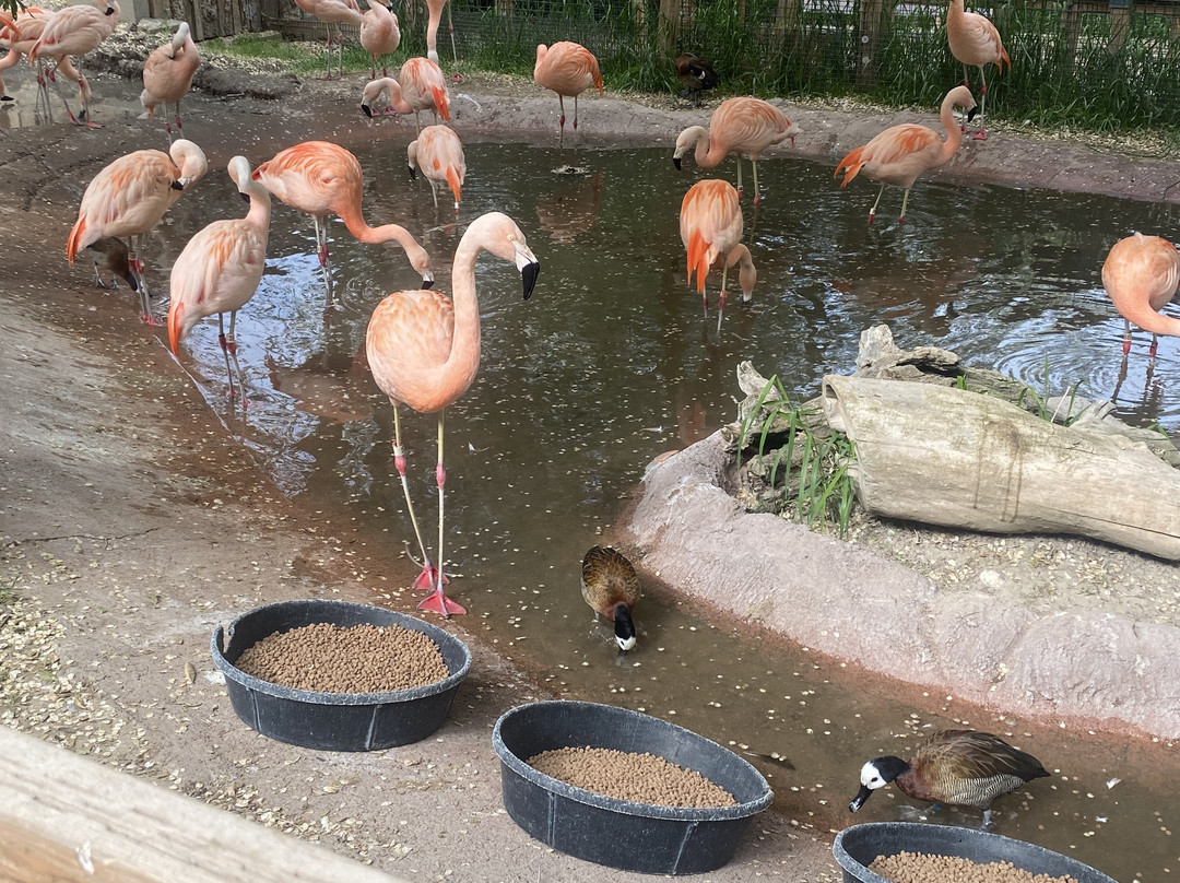 Idaho Falls Zoo-爱达荷福尔斯必去景点