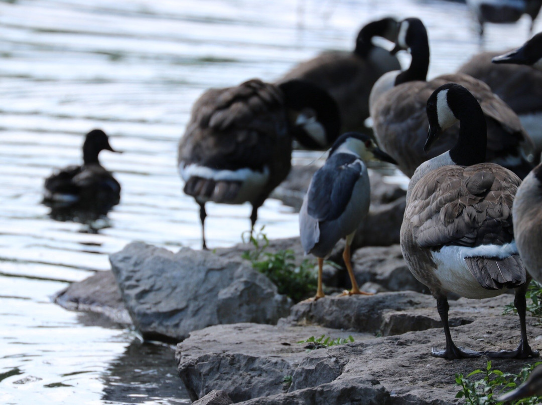 Bay Beach Wildlife Sanctuary-格林贝必去景点