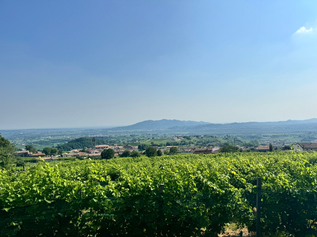 Rive Del Bacio - Cantina E Ospitalità-Valdobbiadene必去景点