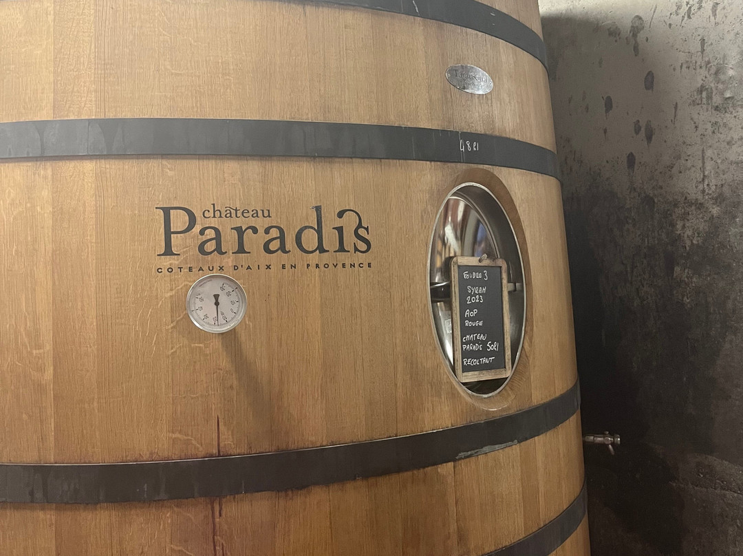 Château Paradis-Le Puy-Sainte-Reparade必去景点