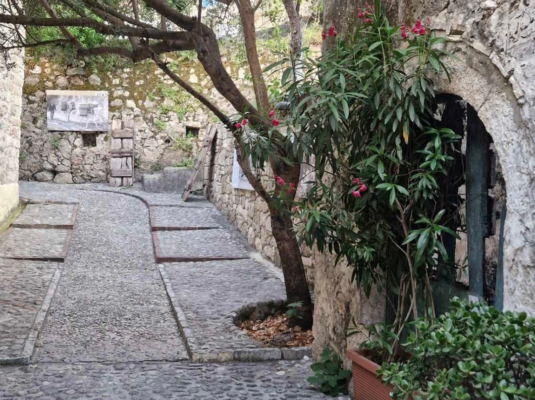 Paragaea - Old Olive Oil Factory-帕尔加必去景点