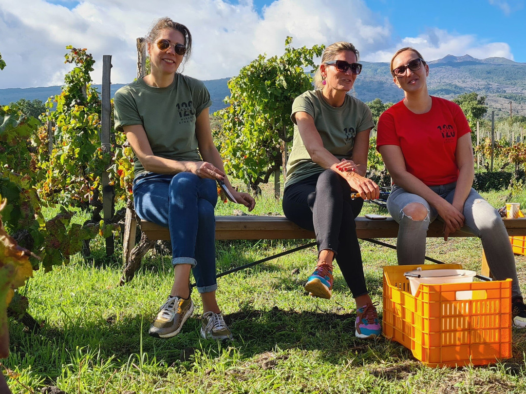 Casale 120 Winery-Rovittello必去景点