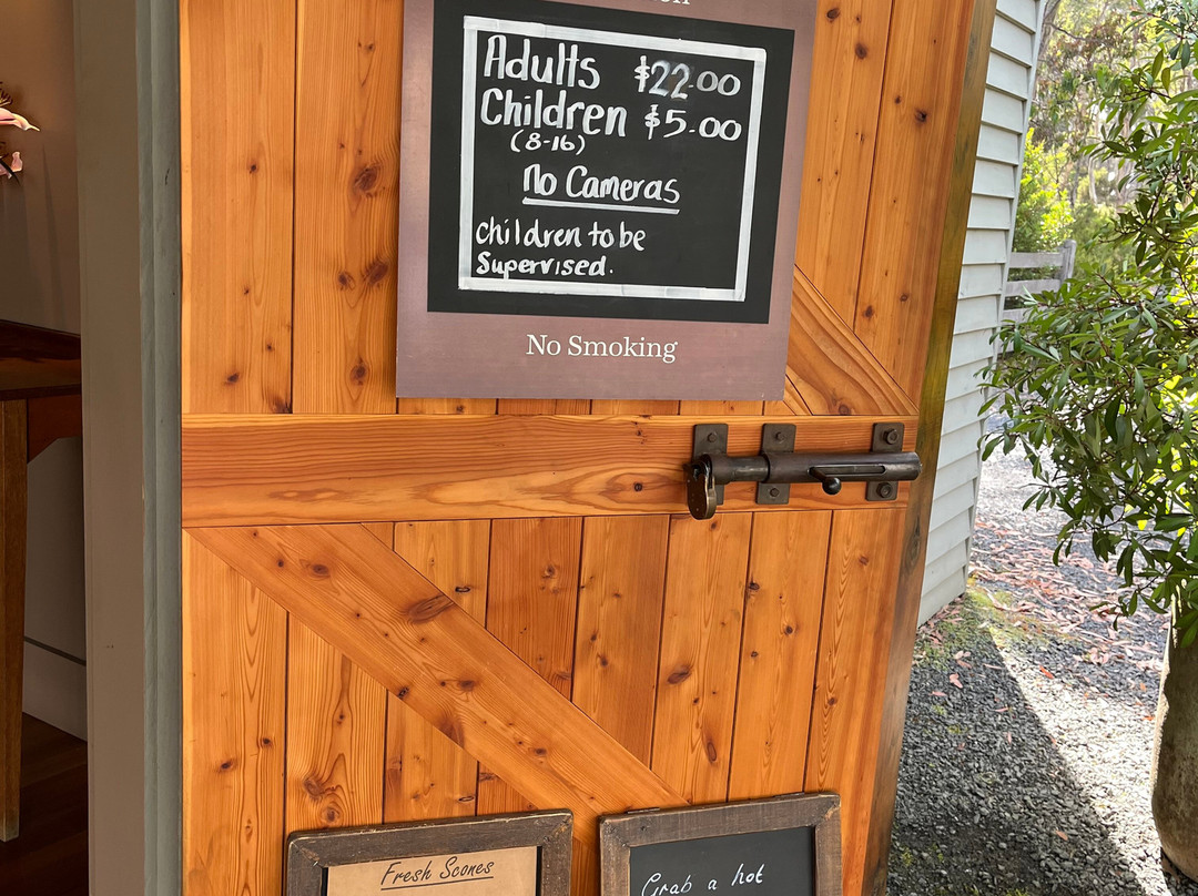 The Wall in the Wilderness-德文特桥必去景点