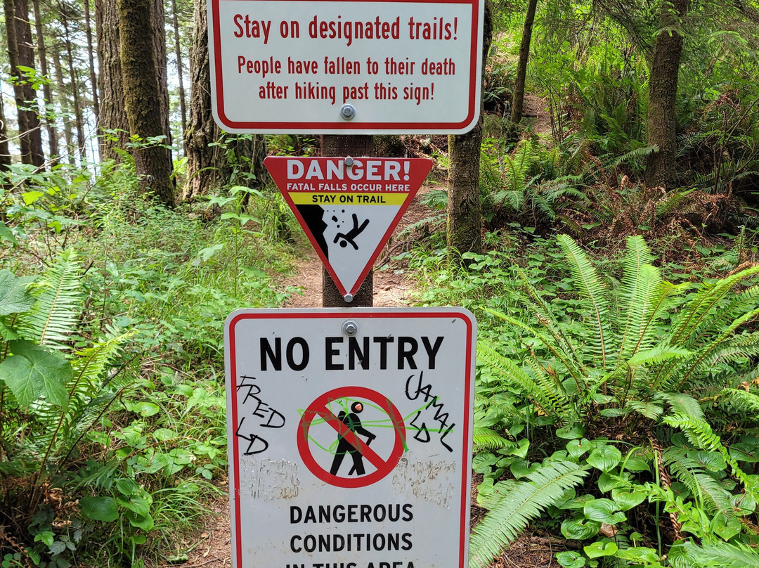 Natural Bridges Viewpoint-布鲁金斯必去景点