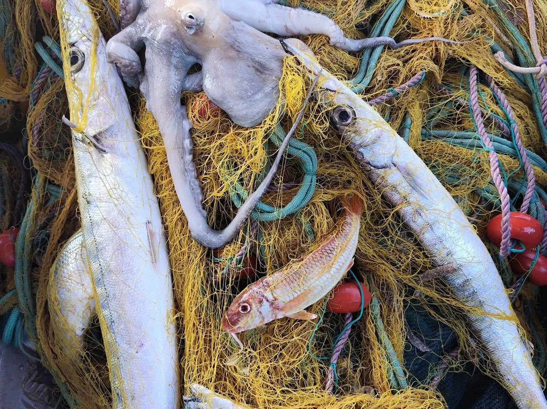 Fishing Tours Porto Rafti-Porto Rafti必去景点