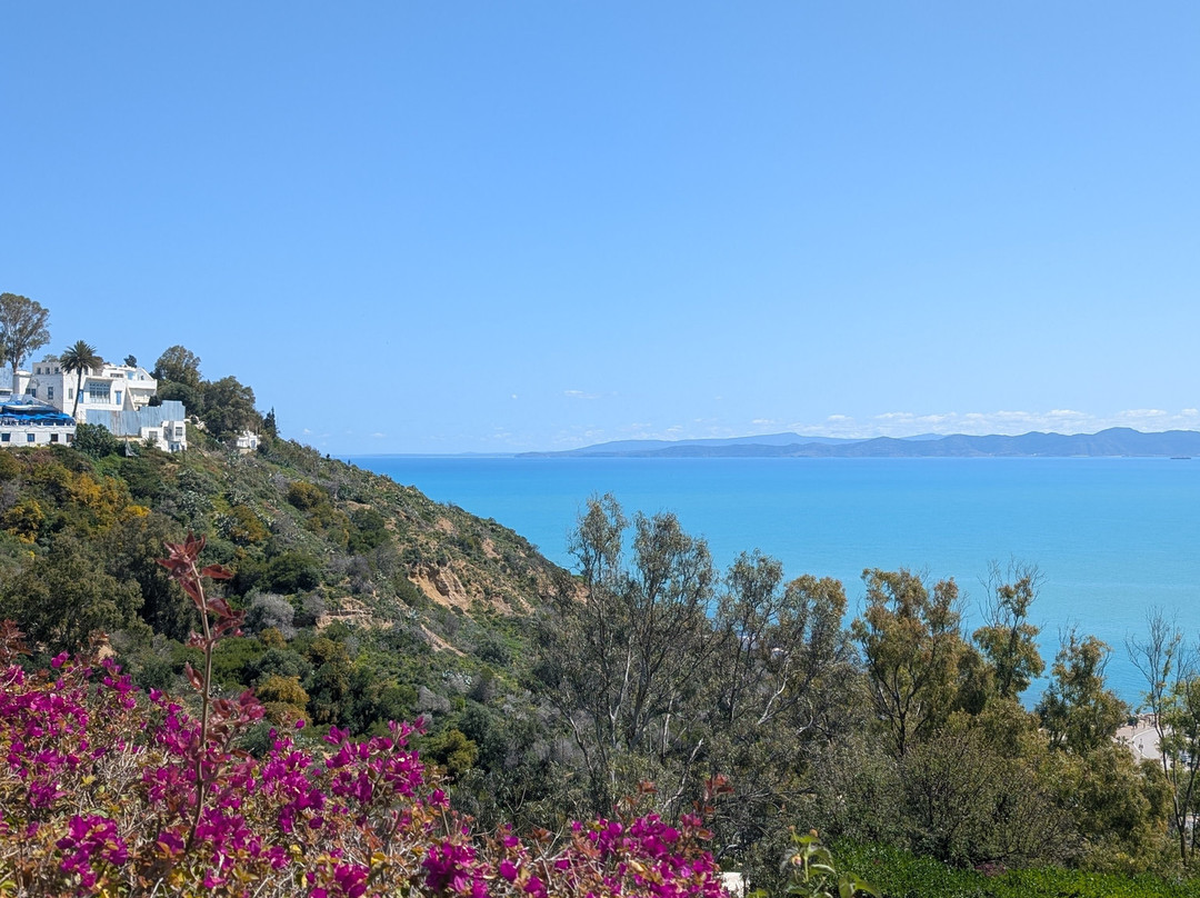 Free Cultural food Tour Around All Tunis-突尼斯必去景点