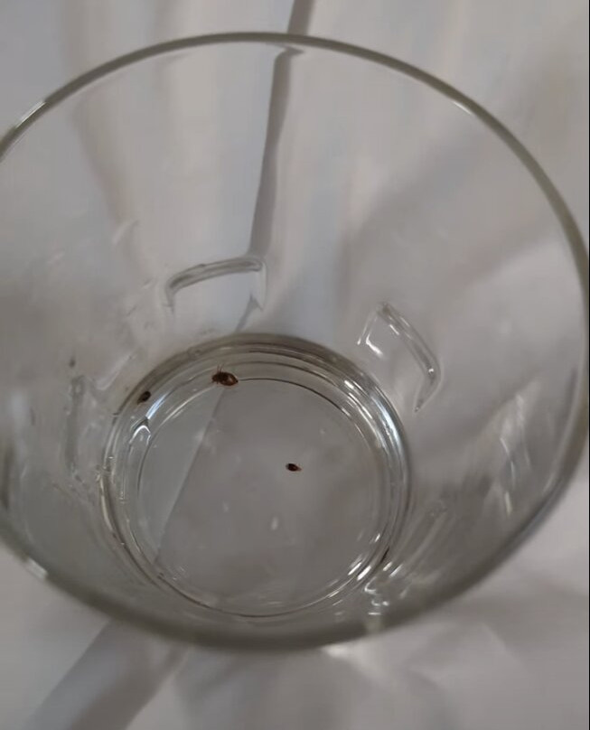 米尔福德凯悦普雷斯酒店主图