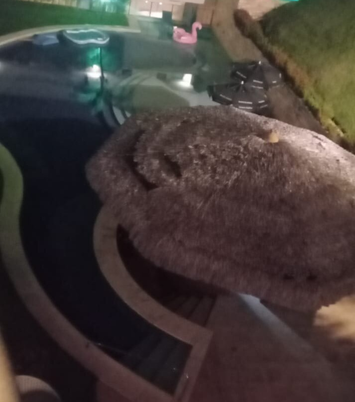 Hotel Santuário das Águias主图