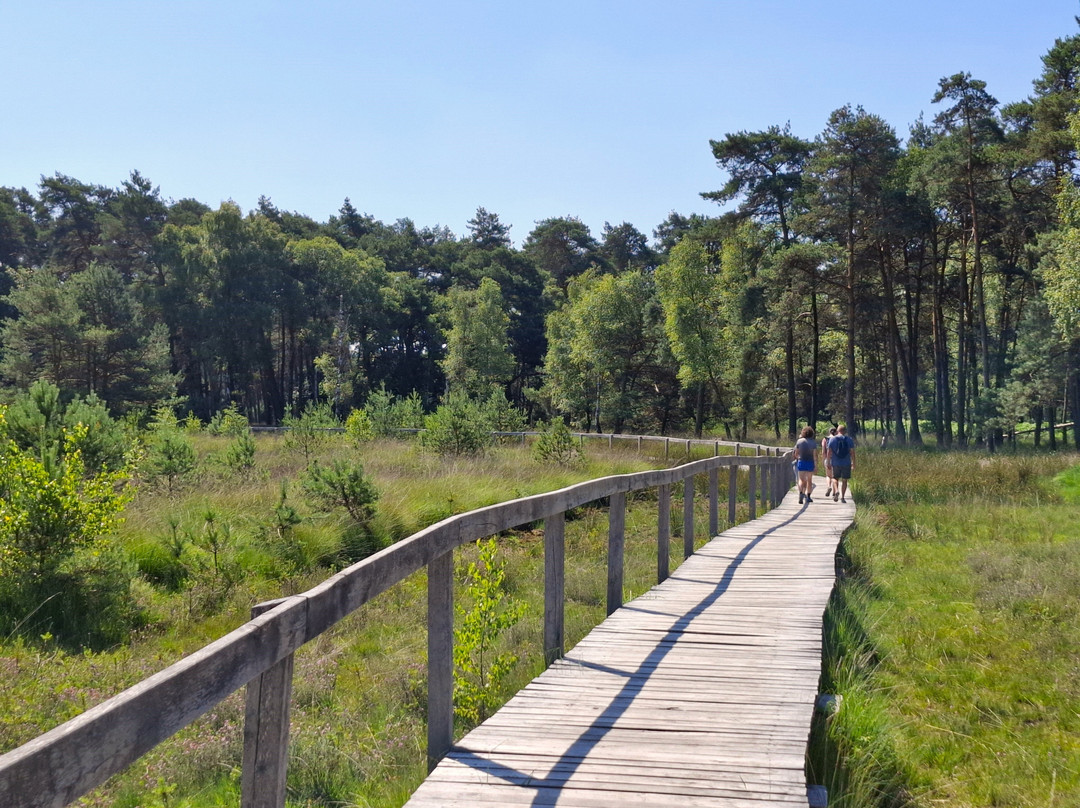 Moorerlebnisweg-韦瑟尔必去景点