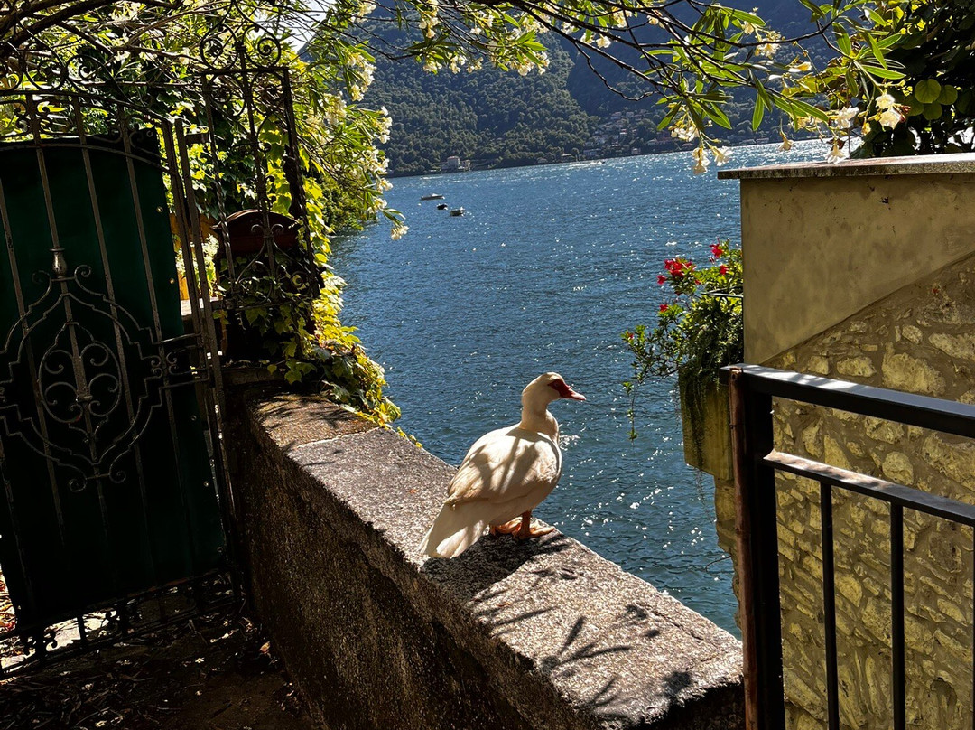 Orrido Di Nesso-Nesso必去景点