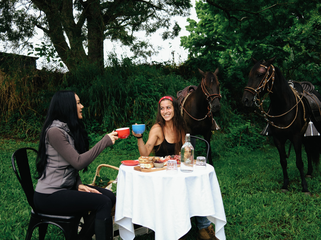 Historic Rivermill-黄金海岸必去景点