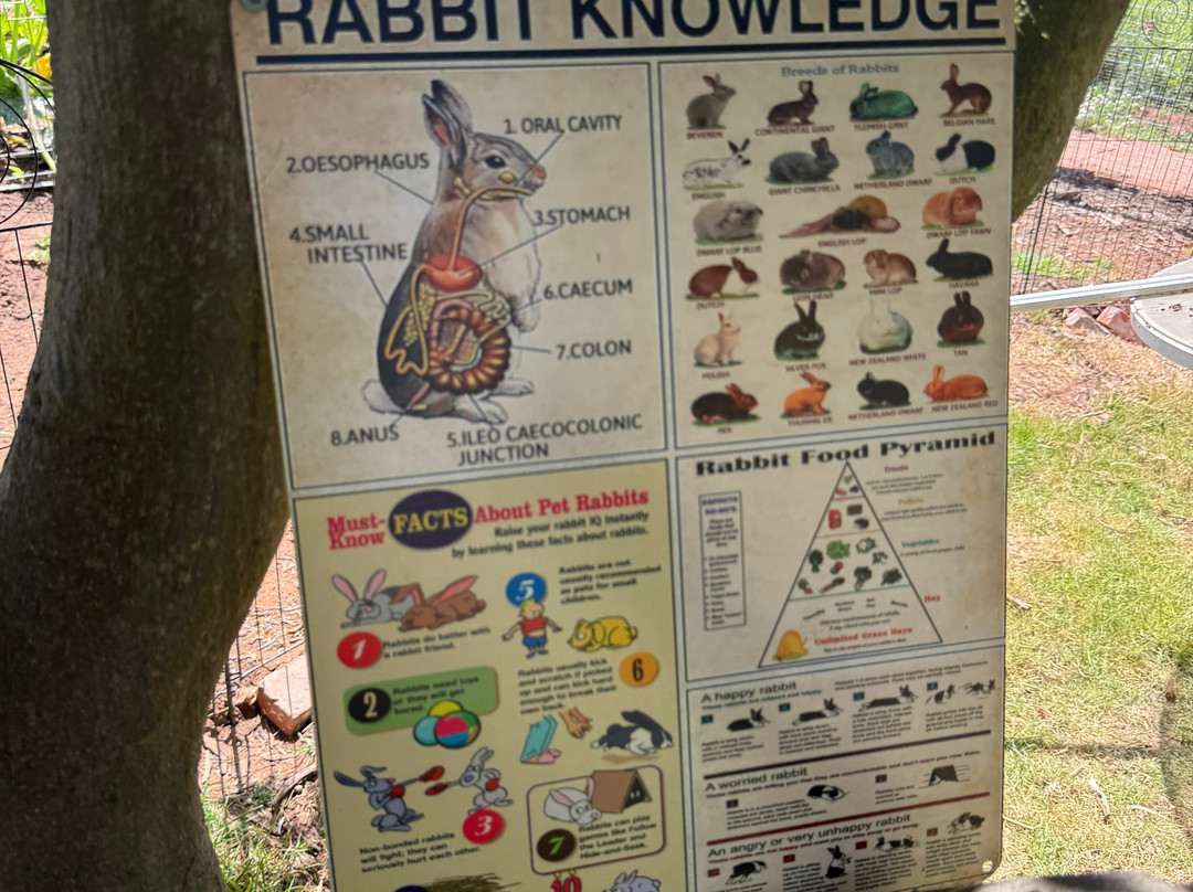 Firefly Grove-Bonsall必去景点