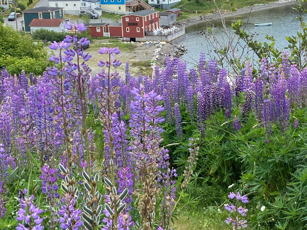 Trinity Visitor Centre-Trinity必去景点