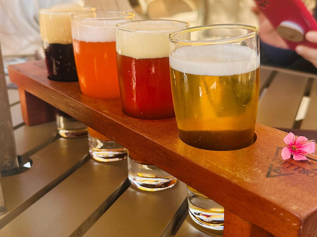 Cervejaria 3 Orelhas-Goncalves必去景点