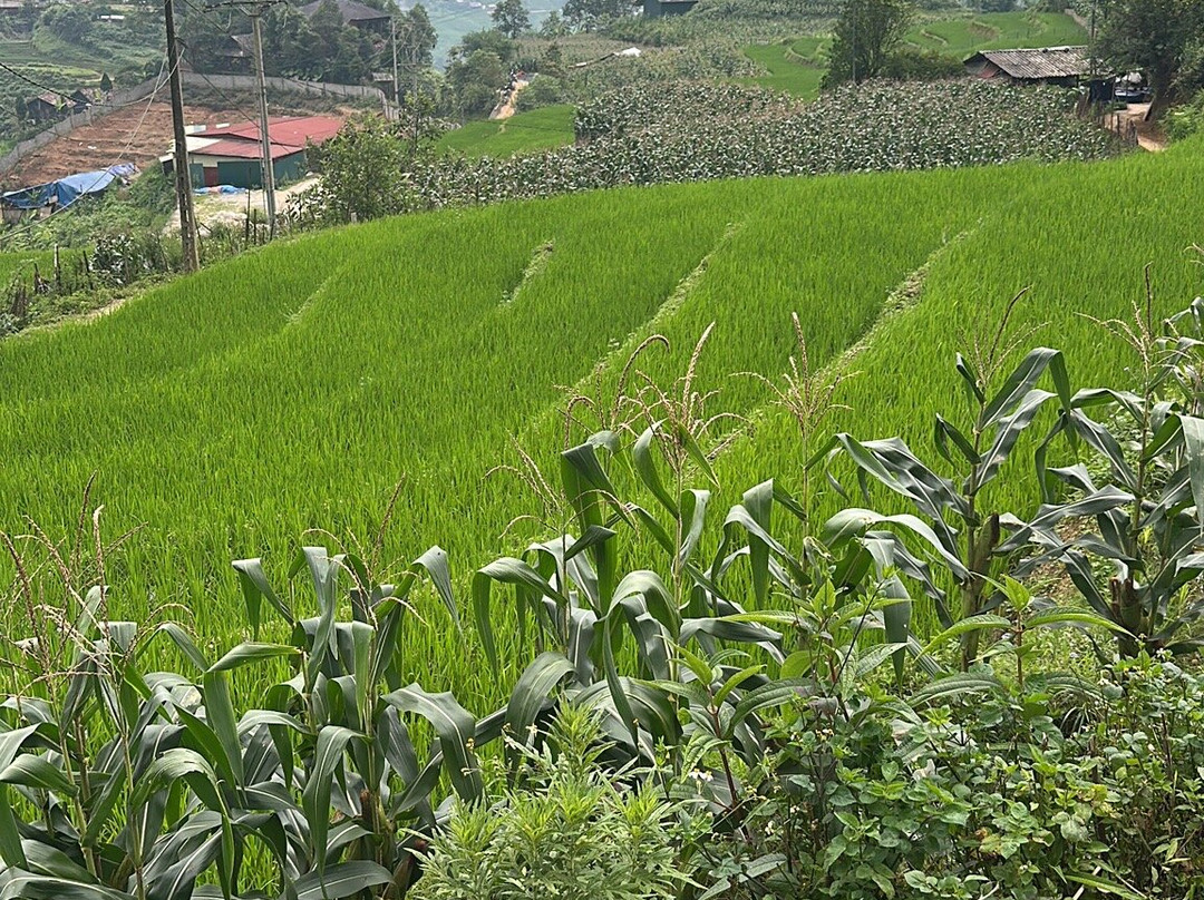 Ta Van Village-沙巴必去景点