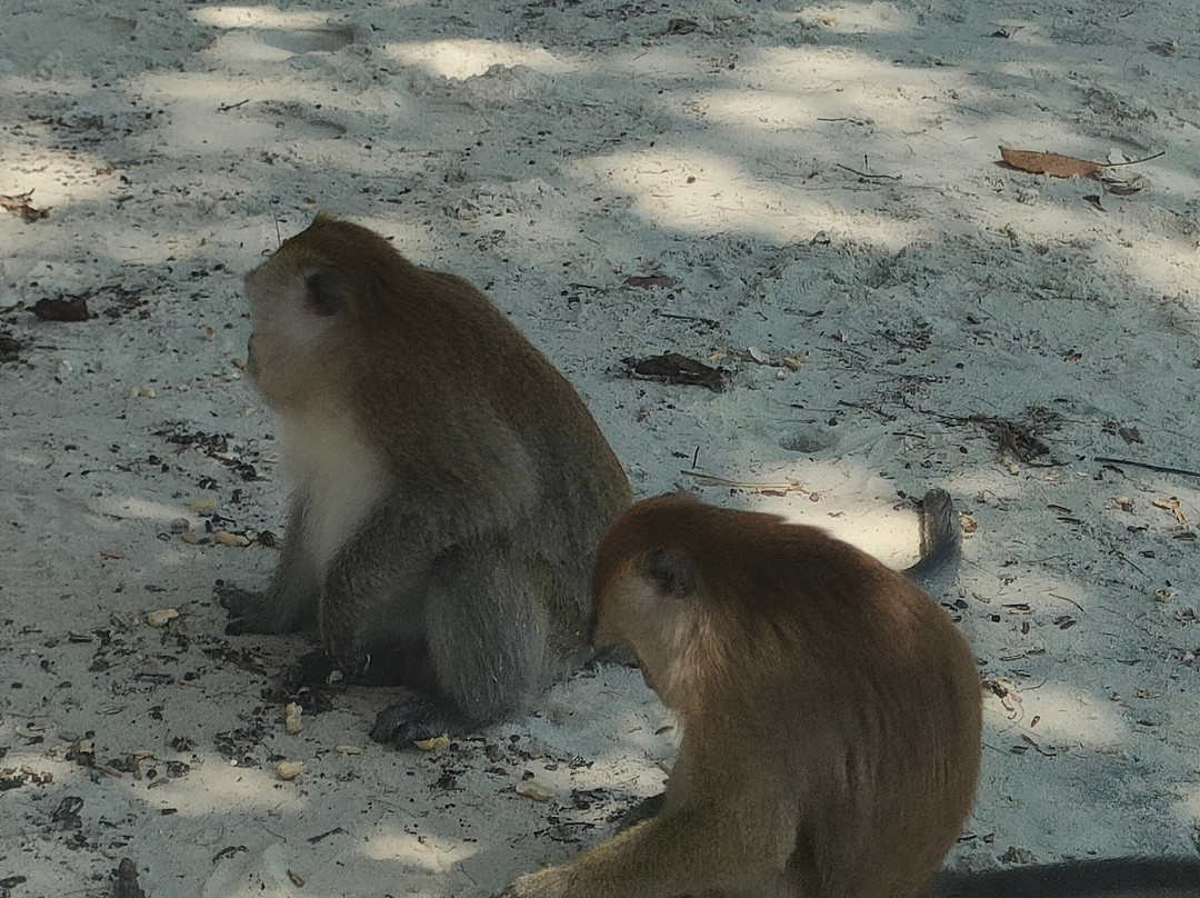 猴子岛-巴巷海滩必去景点