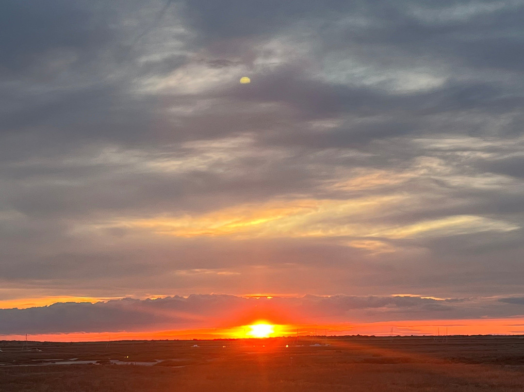 The White Horse主图