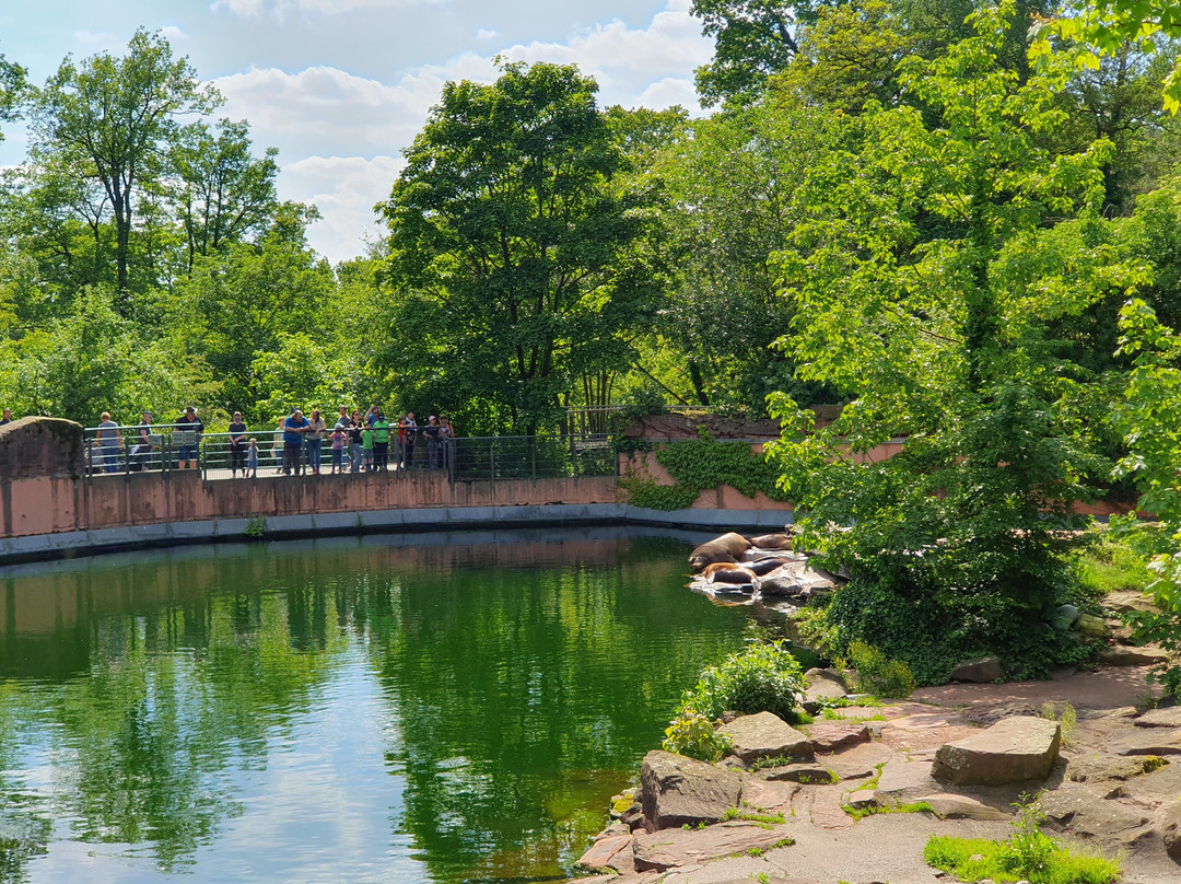 Tiergarten Nuernberg-纽伦堡必去景点