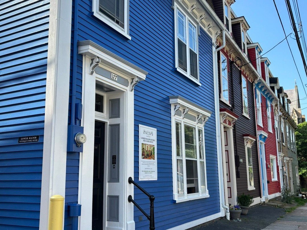 Jellybean Row Houses-圣约翰必去景点