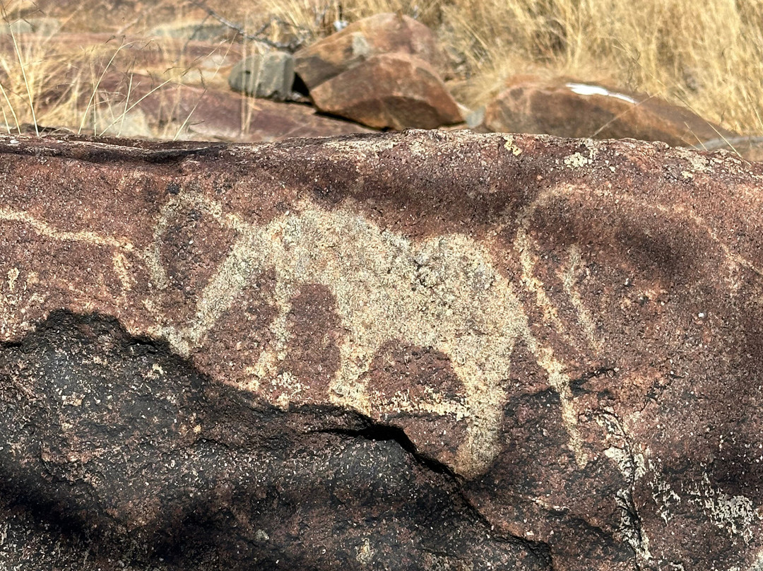 Rock Engravings at Peet Alberts Koppie-Kamanjab必去景点