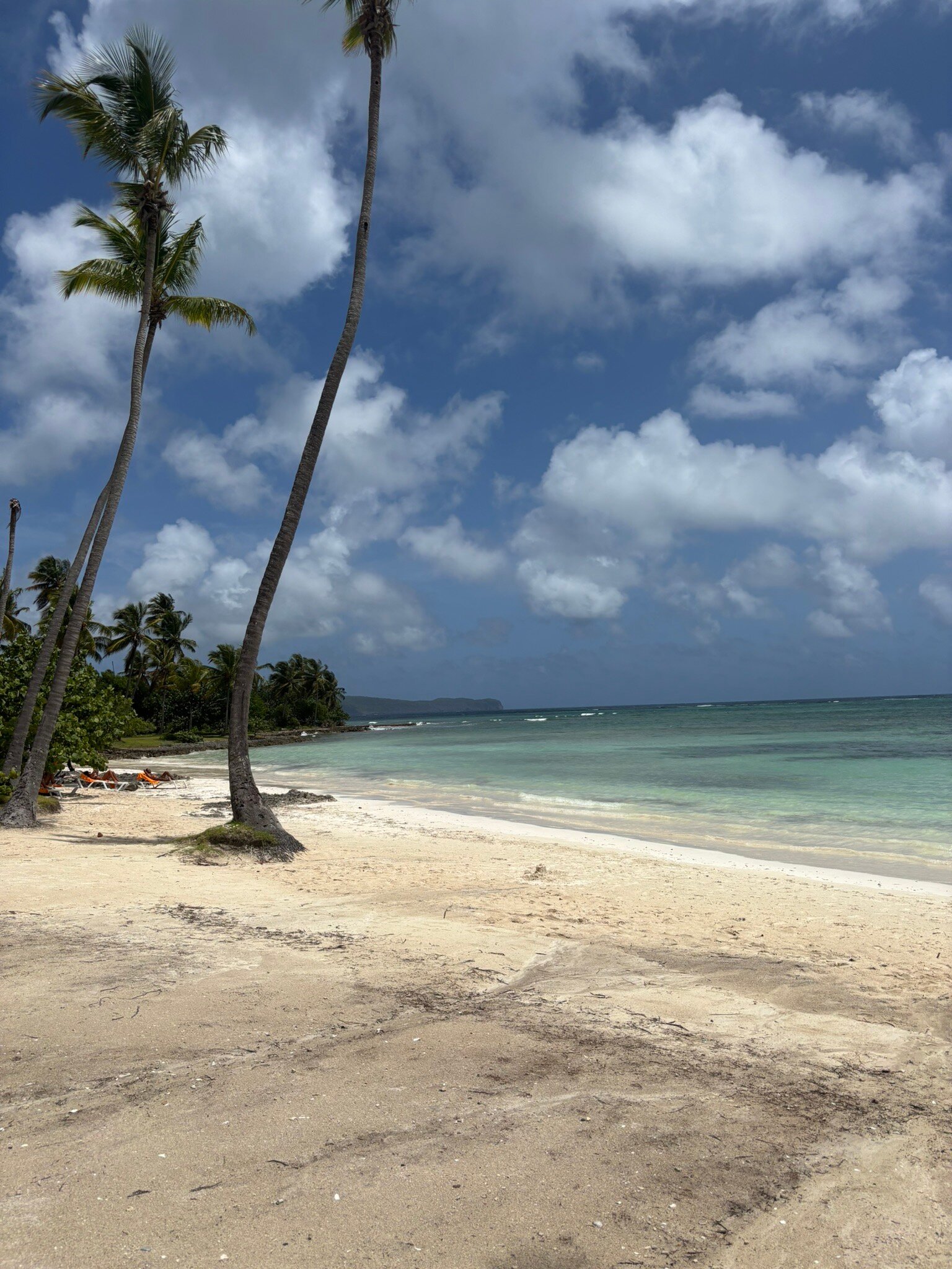 Wyndham Alltra Samana-官方