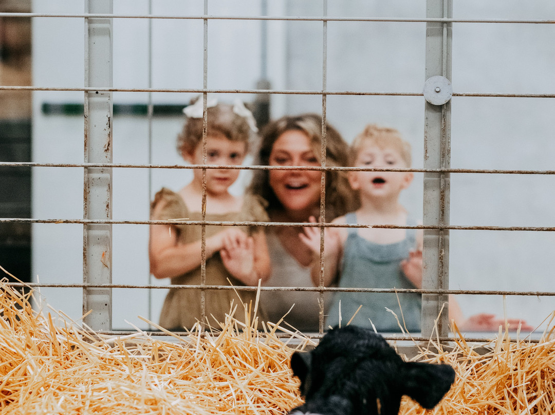 Fair Oaks Farms-Fair Oaks必去景点