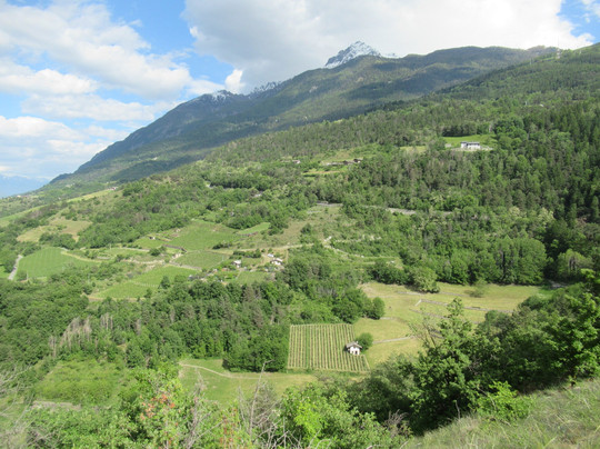 Riserva Naturale Côte de Gargantua-Gressan必去景点