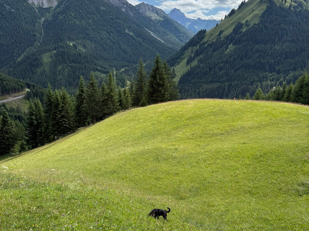 Quartier Severin主图