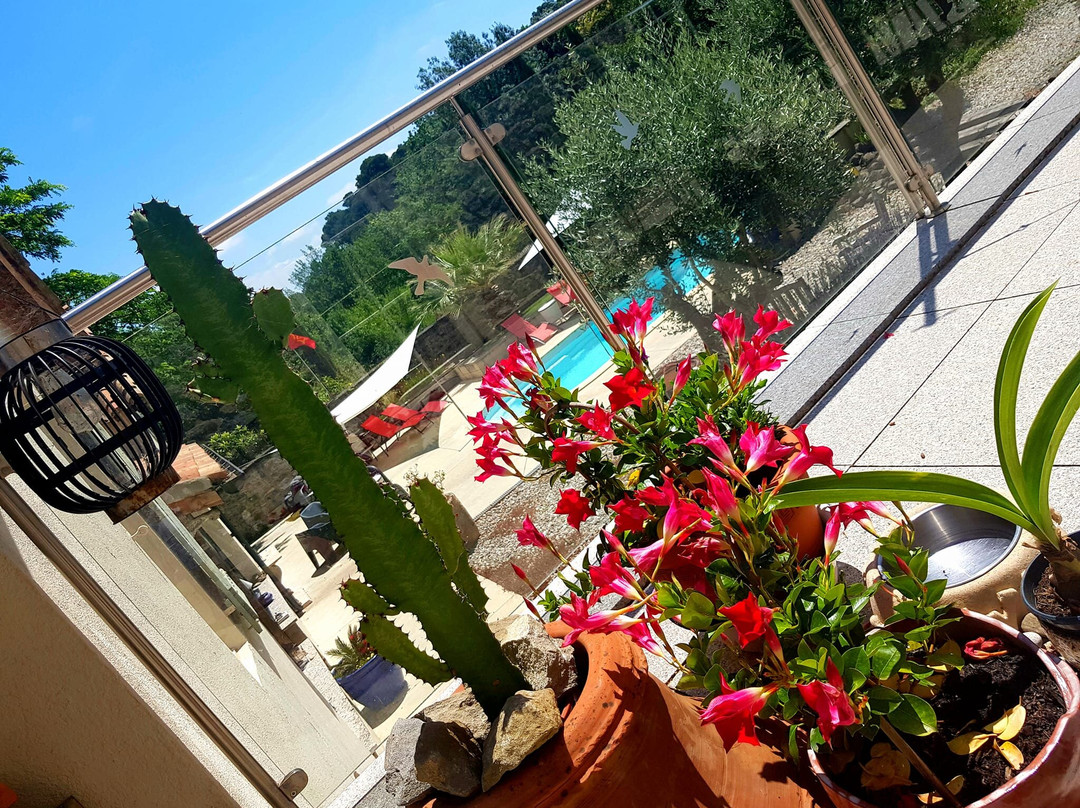 Clos Des Troubadours主图