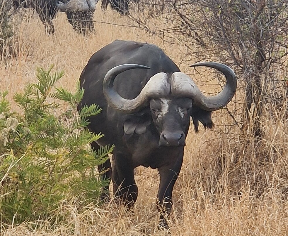 Robbie Williams Safaris-雾观必去景点