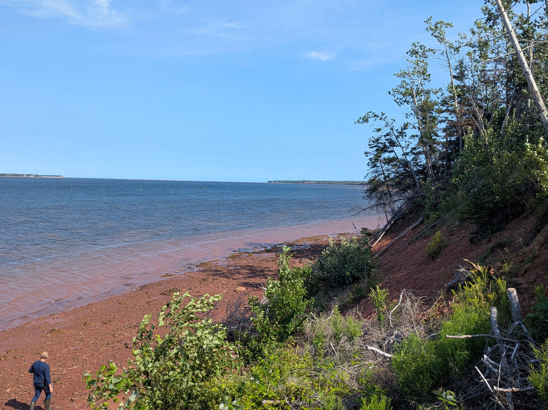 Experience PEI-夏洛特镇必去景点