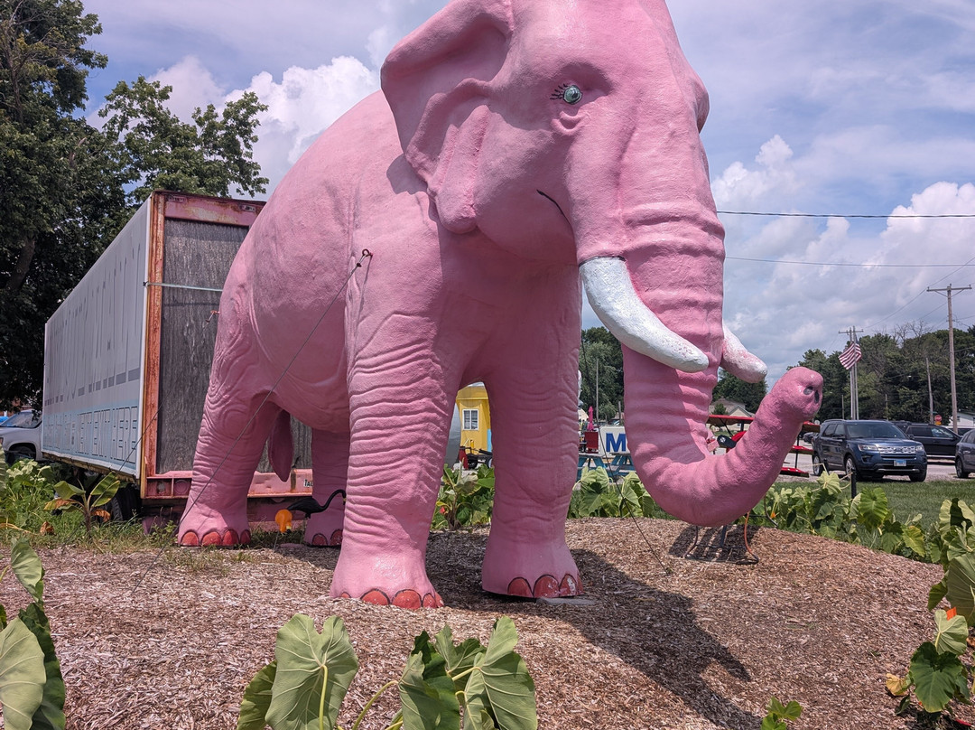 Pink Elephant Antique Mall-Livingston必去景点