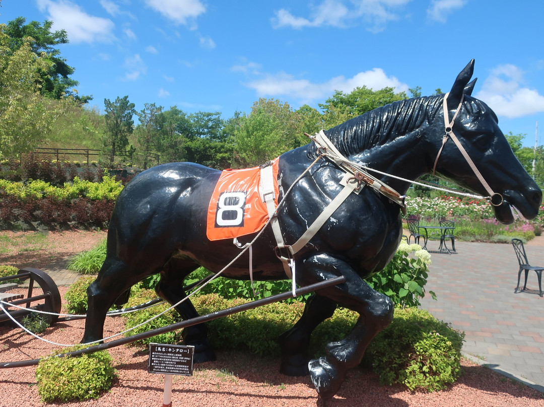 Iwamizawa Service Area Outbound-岩见泽市必去景点
