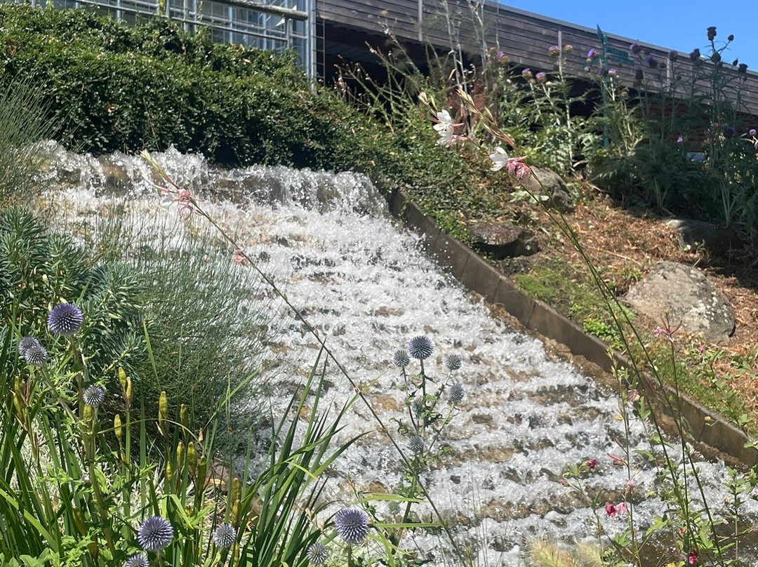 Camifolia Garden-Chemille必去景点