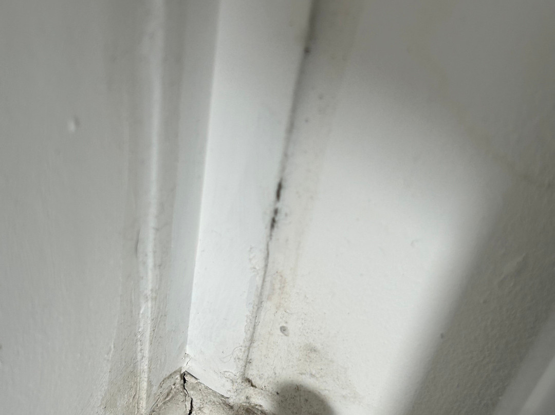 Arran Hills Pods主图