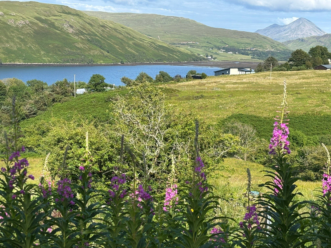 The Oyster Shed-Carbost必去景点