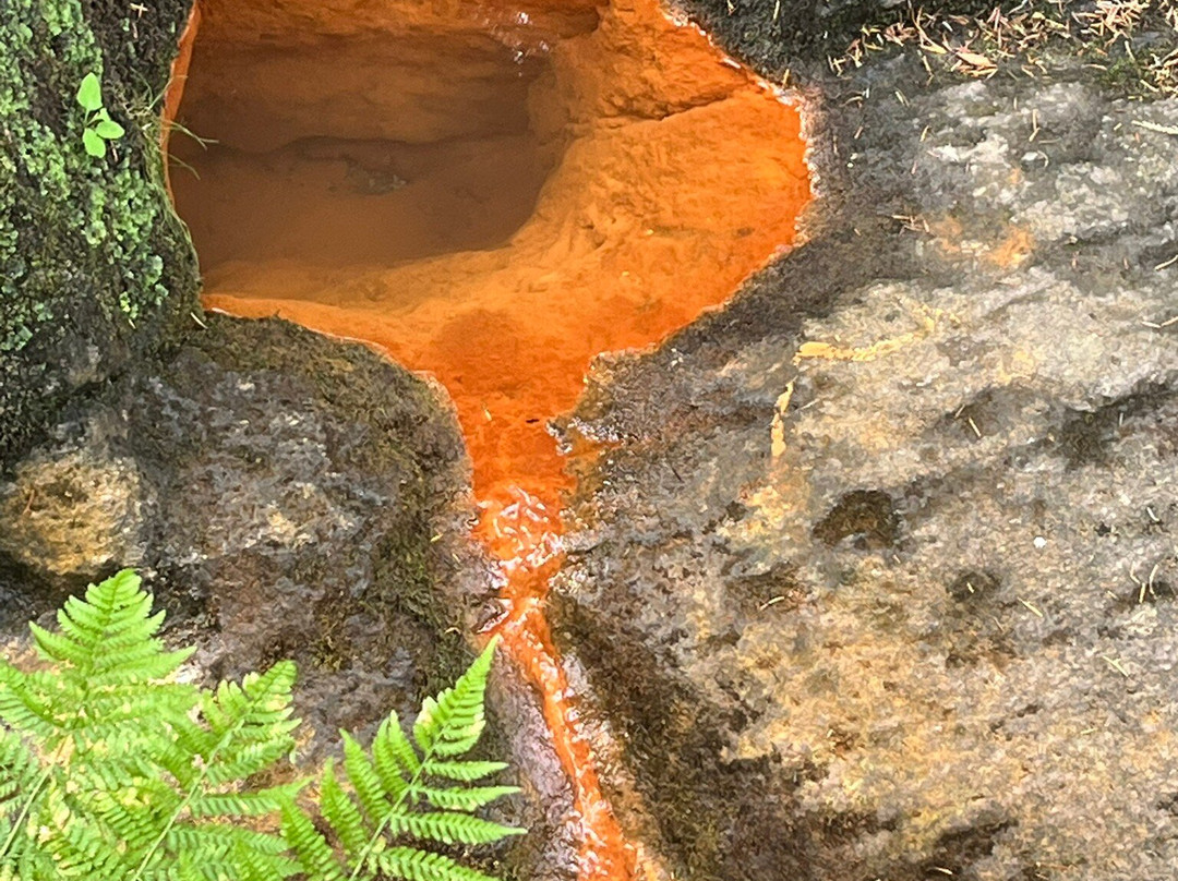 Cascade de Chorsin-Sauvain必去景点