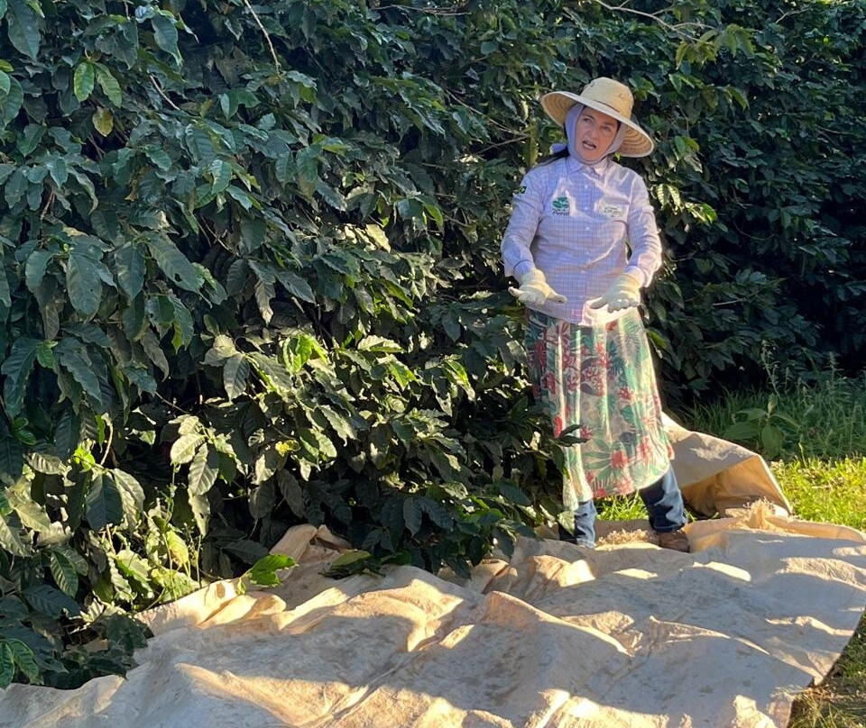 Do Genoma a Xicara-Espirito Santo Do Pinhal必去景点