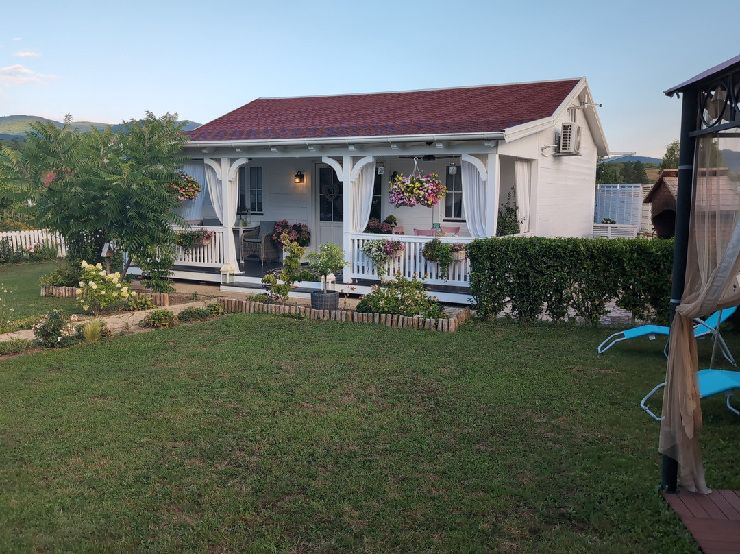 普利特维采湖公寓酒店主图