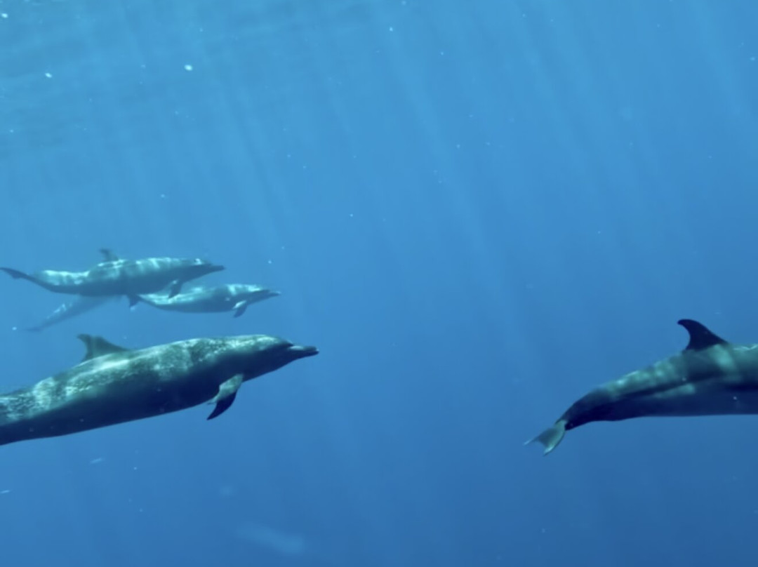 Primal Ocean-La Ventana必去景点