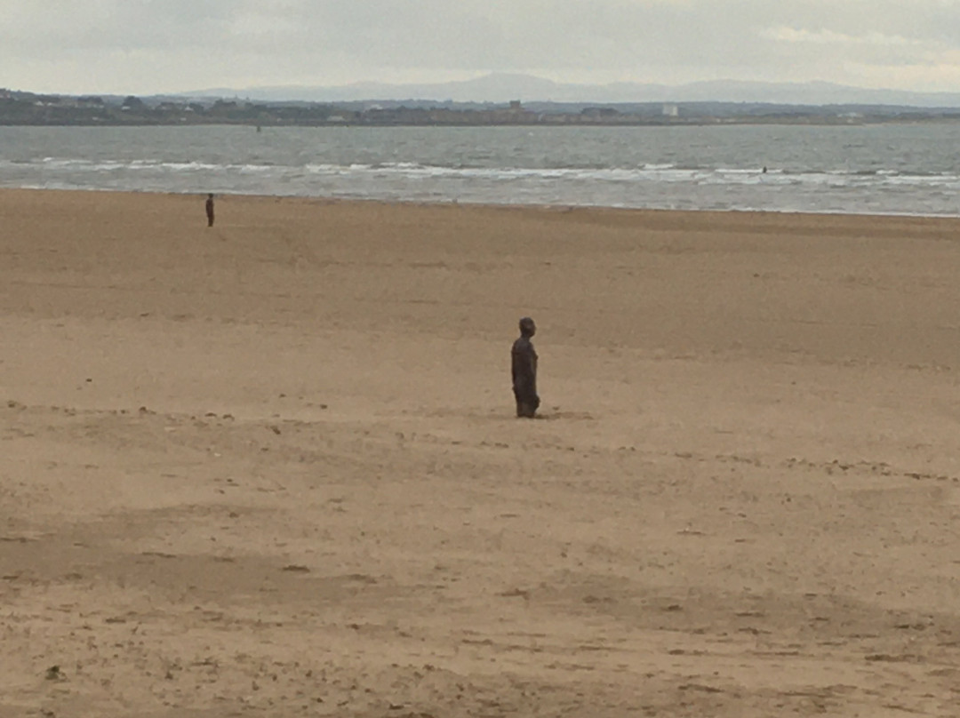 Crosby Beach-克罗斯比必去景点