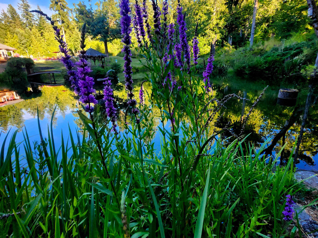 A Hidden Haven Bed and Breakfast主图