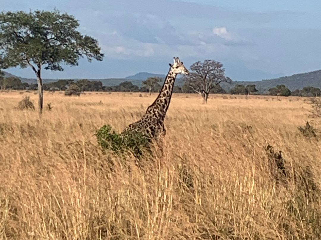 Kasaka Tours-Dar es Salaam必去景点