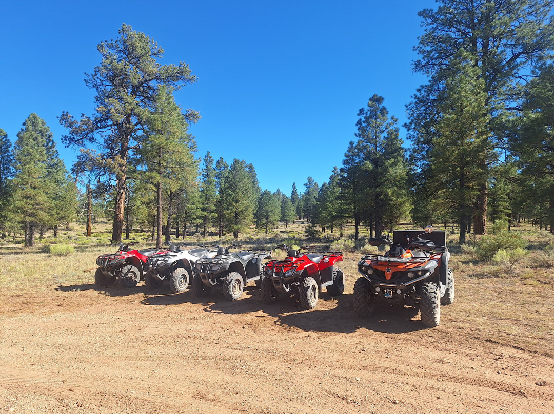 Canyon Off Road Adventures - Guided ATV Tours South Rim-图萨扬必去景点