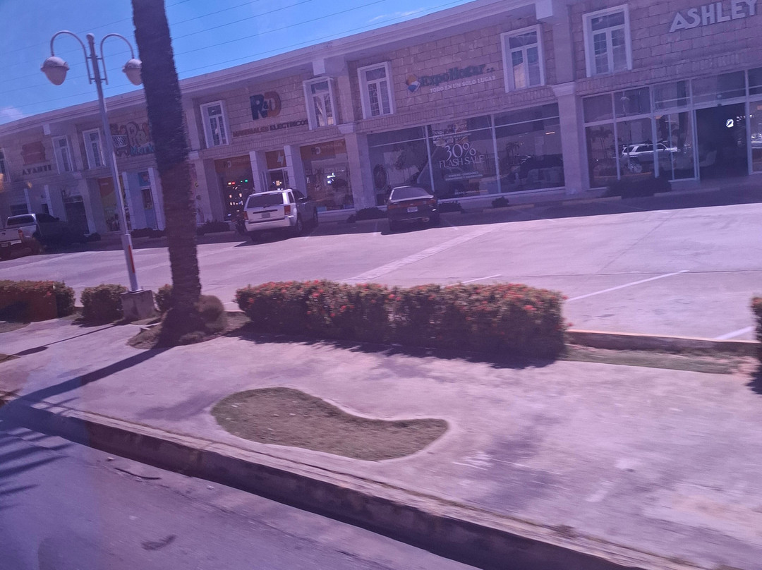 Hover Tours-玛格丽塔岛必去景点