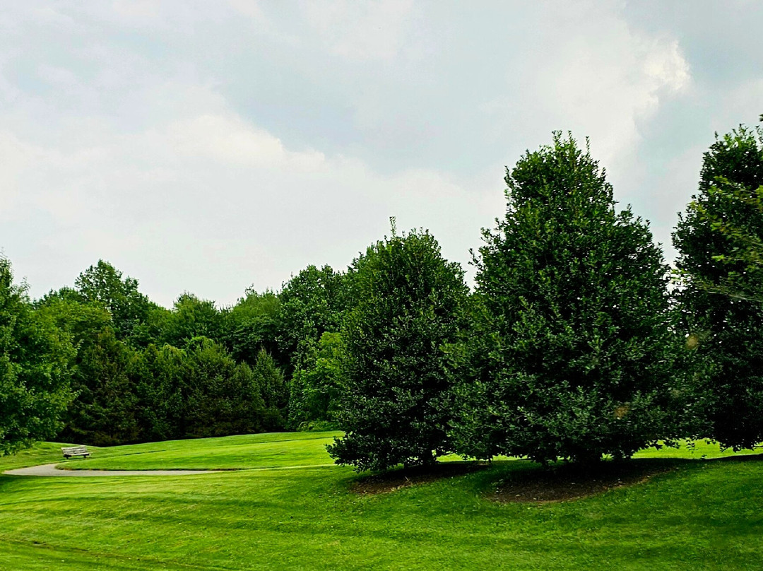 Sweet Air Park-Phoenix必去景点