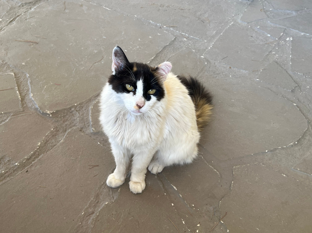 Seen Poros-Poros必去景点