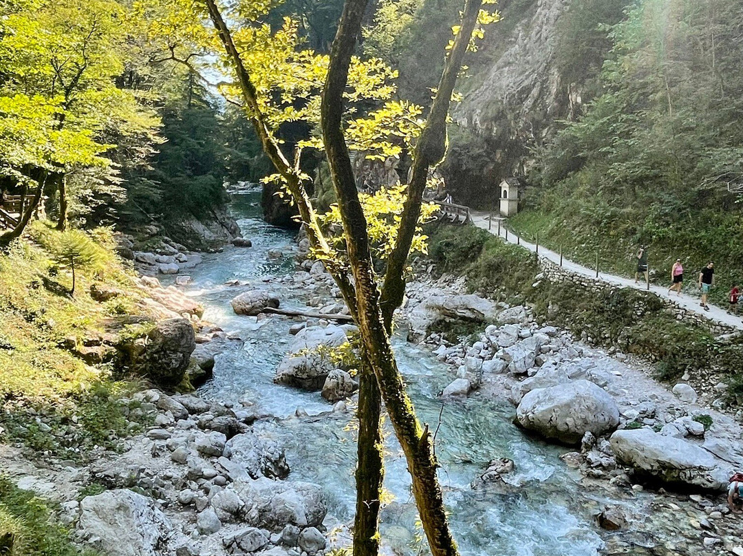 Tolmin Gorge-Tolmin必去景点