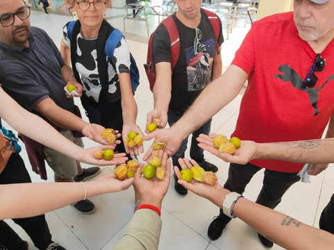 Community Adventures-基多必去景点